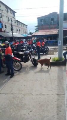 MARCHA POR LAS CALLES DE EL BAGRE EN RECHAZO ´POR LA POSTURA DE LA EMPRESA SOMA GOLD EN HUELGA DE ZARAGOZA